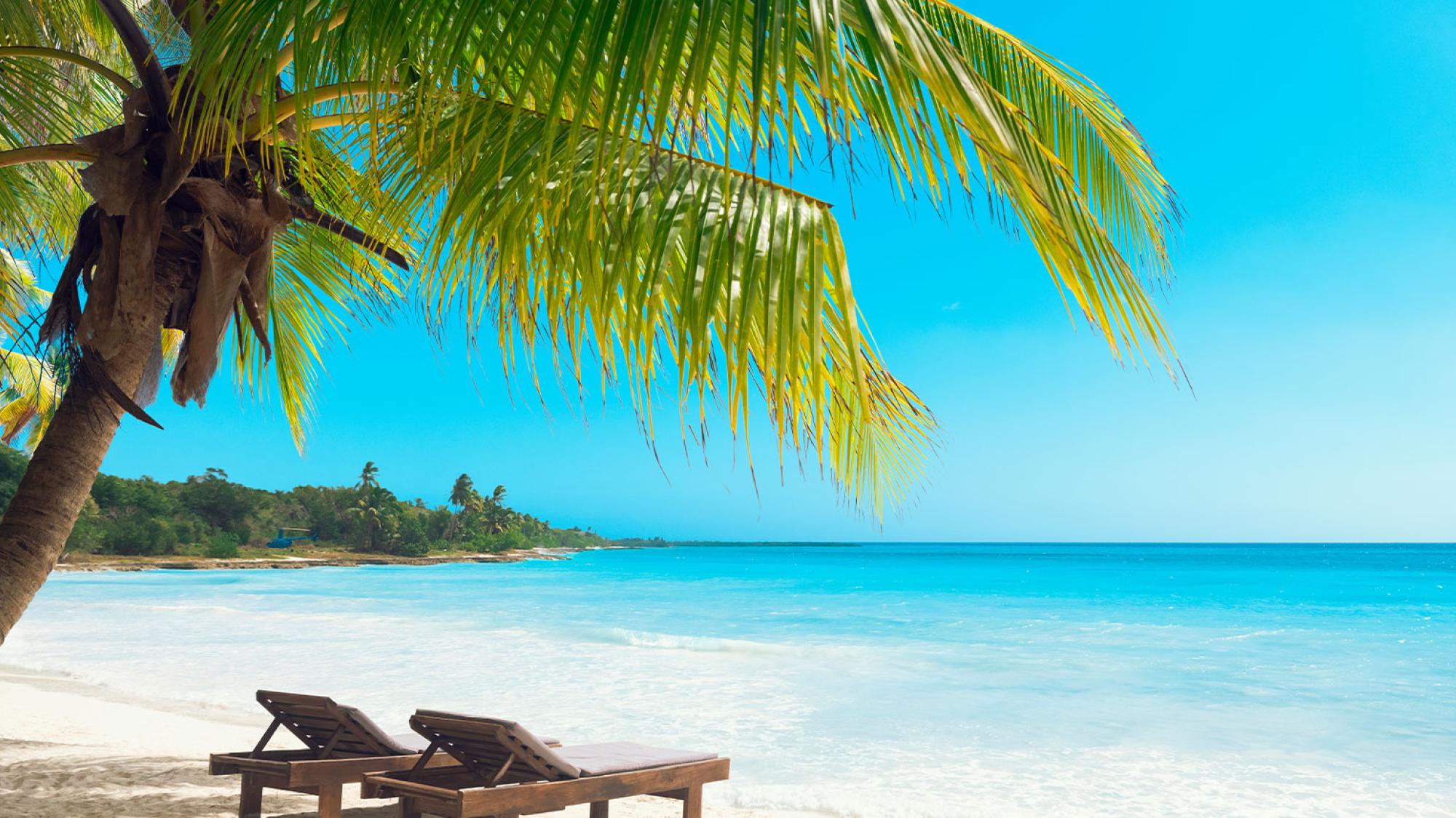 Beach chairs overlooking beach
