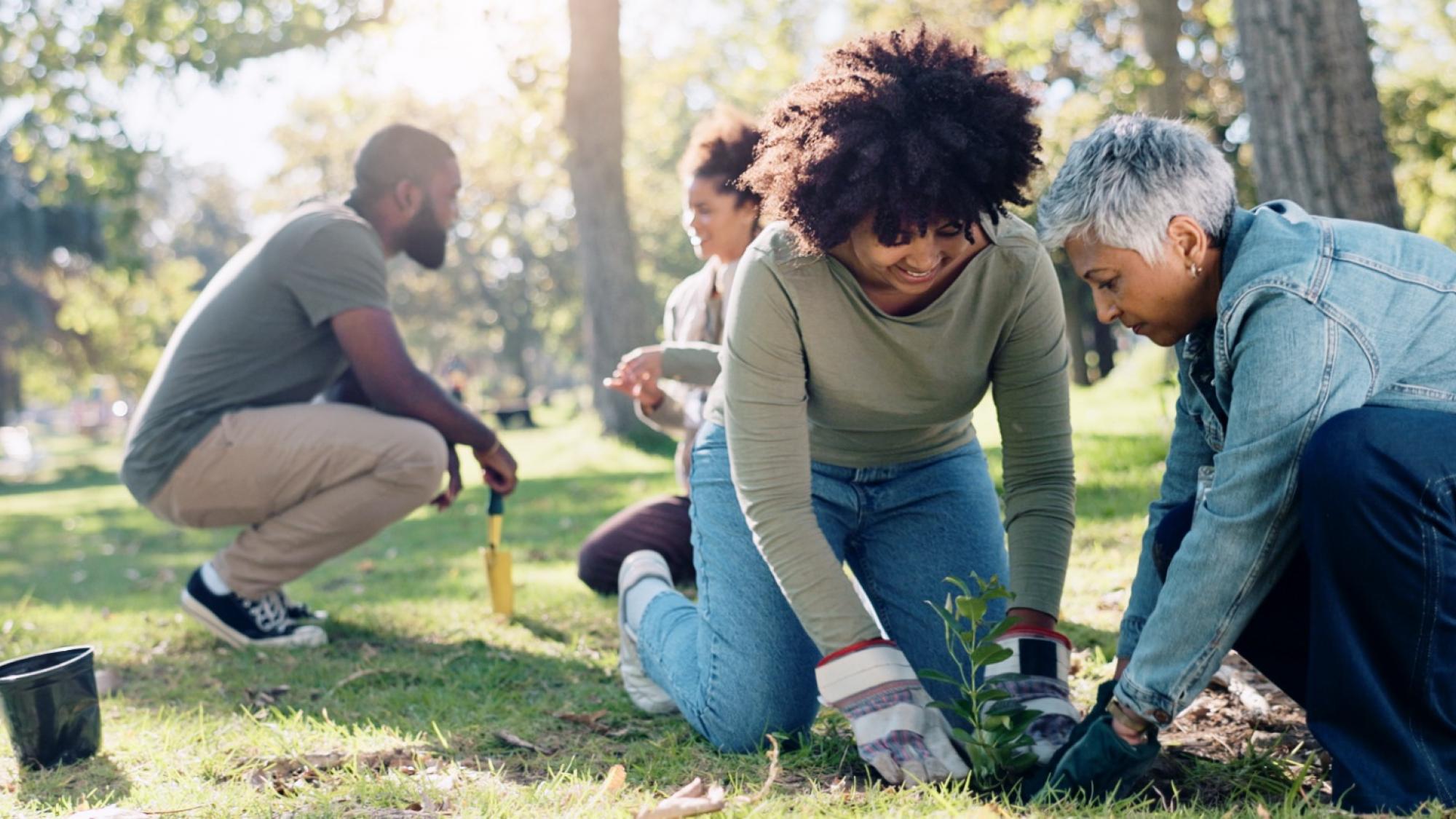 2025 Community Project Application is Now Open
