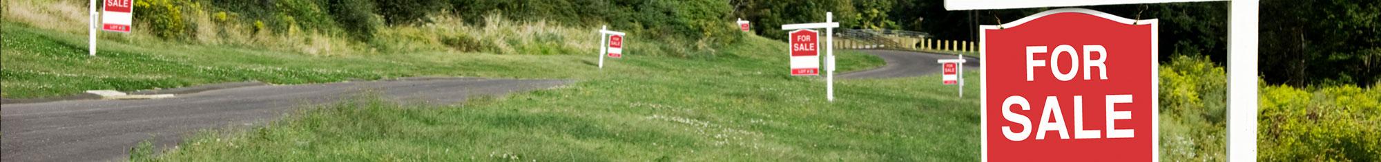 road with multiple for sale signs 